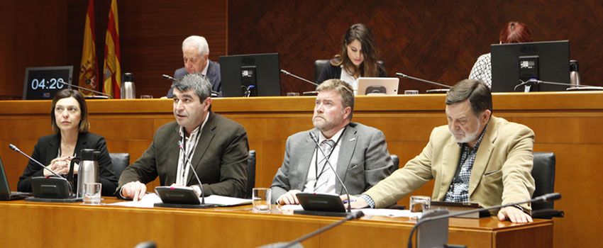 Lee más sobre el artículo FEPEA comparece en la Comisión de las Cortes de Aragón